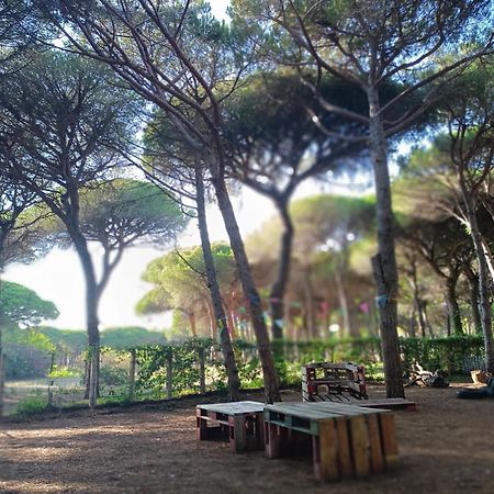 The Pineforest Cabin Chiclana de la Frontera Exterior photo