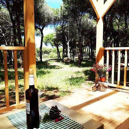 The Pineforest Cabin Chiclana de la Frontera Exterior photo