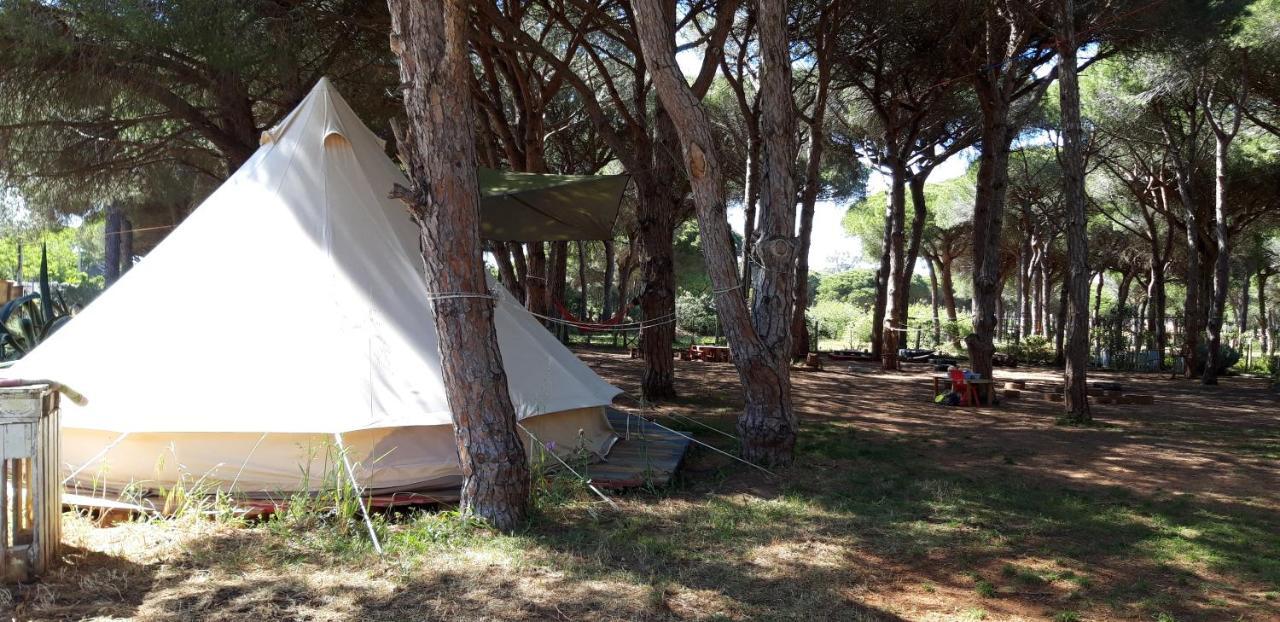 The Pineforest Cabin Chiclana de la Frontera Exterior photo