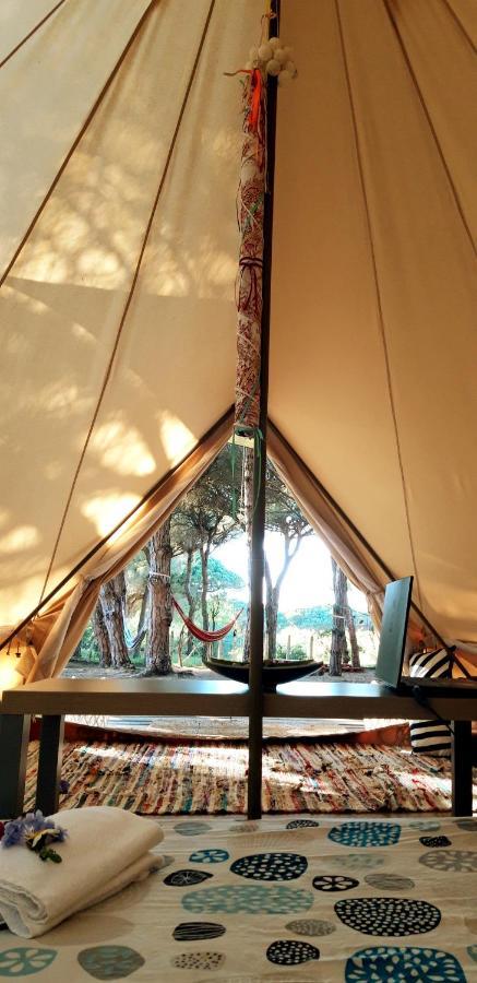 The Pineforest Cabin Chiclana de la Frontera Exterior photo