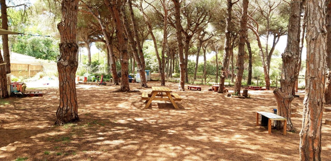 The Pineforest Cabin Chiclana de la Frontera Exterior photo