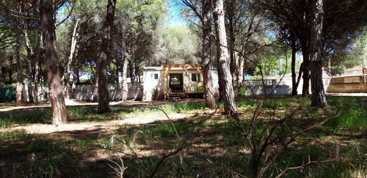The Pineforest Cabin Chiclana de la Frontera Exterior photo